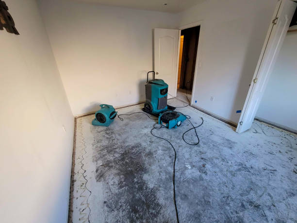 Best Fire Damage Restoration  in Jefferson Hills, PA