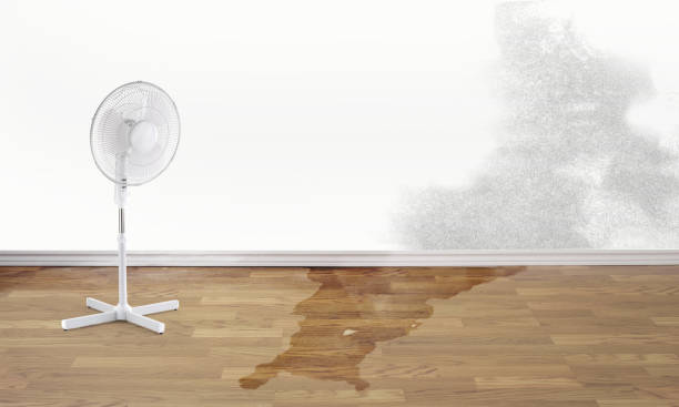 Best 24-hour water damage restoration  in Jefferson Hills, PA