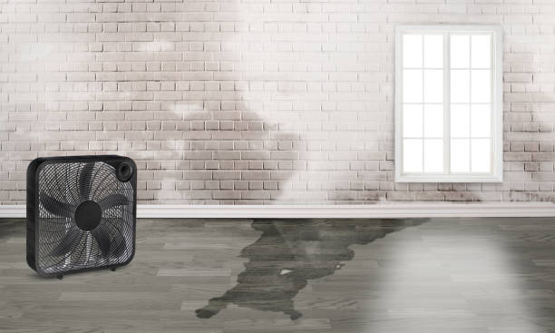 Best Local water damage restoration  in Jefferson Hills, PA