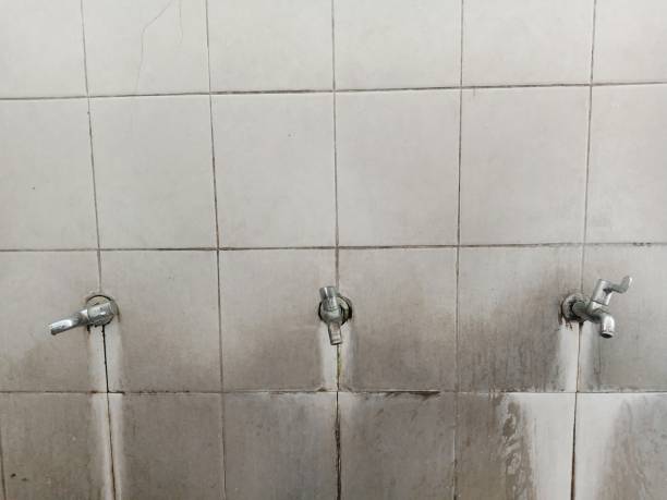 Best Flooded house restoration  in Jefferson Hills, PA