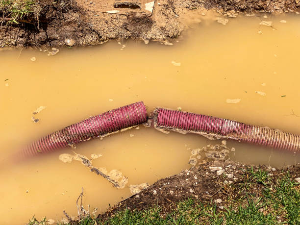 Best Basement water damage restoration  in Jefferson Hills, PA